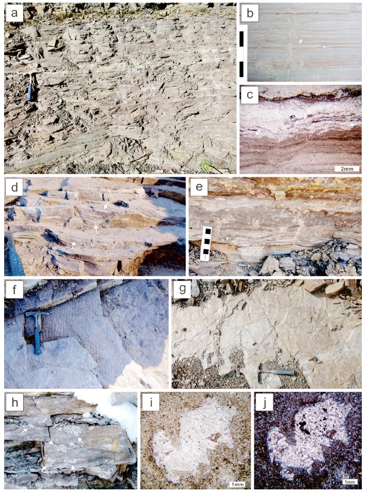 Fig. 2. Fig. 2.