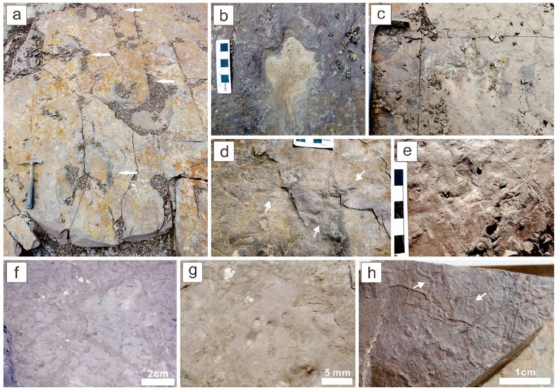 Fig. 3. Fig. 3.