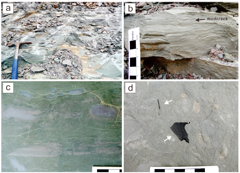 Fig. 4. Fig. 4.