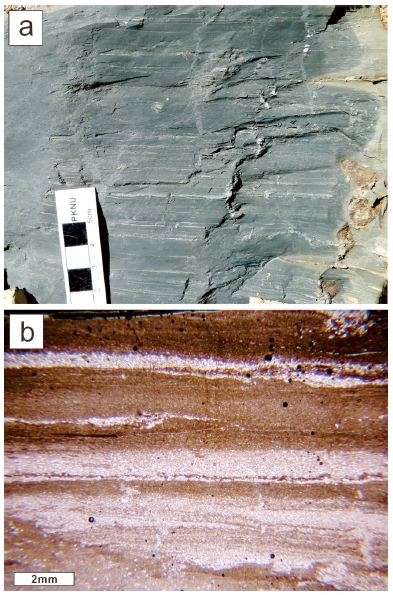 Fig. 5. Fig. 5.