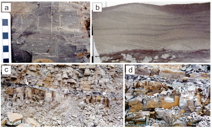 Fig. 6. Fig. 6.