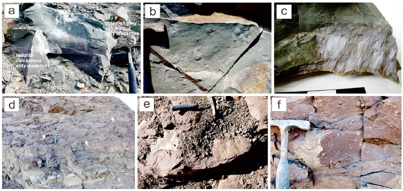 Fig. 7. Fig. 7.