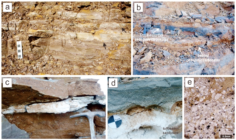 Fig. 8. Fig. 8.