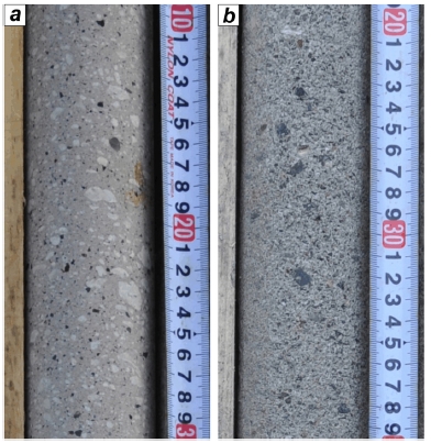 Fig. 12.
