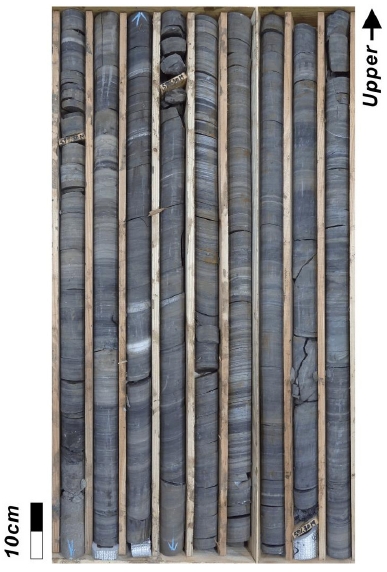 Fig. 15.