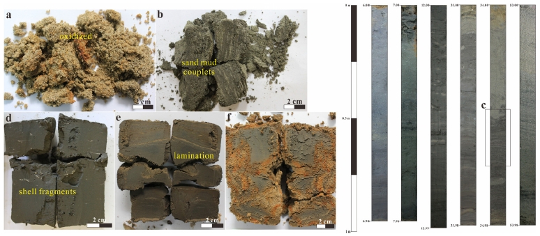 Fig. 3. Fig. 3.