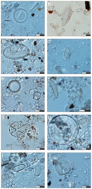 Fig. 7. Fig. 7.