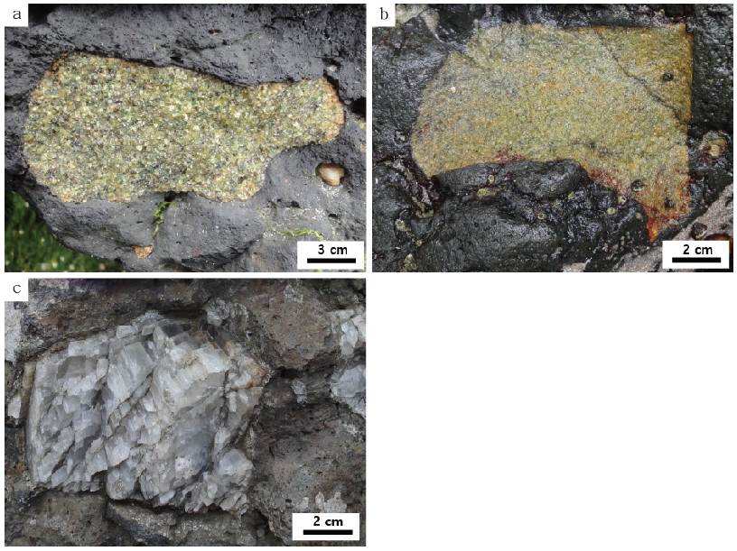 Fig. 2. Fig. 2.