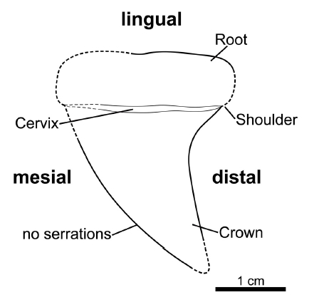 Fig. 3.