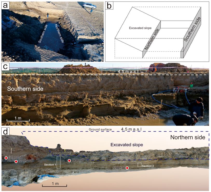 Fig. 3. Fig. 3.