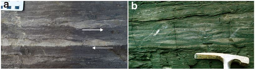 Fig. 6.