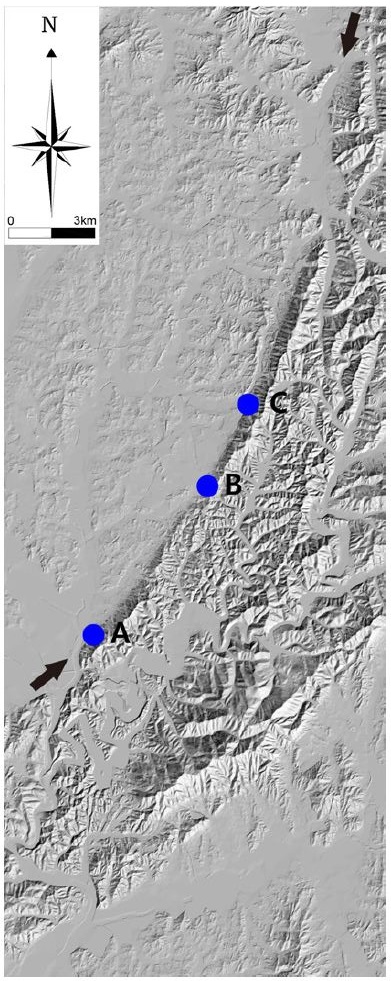 Fig. 2. Fig. 2.