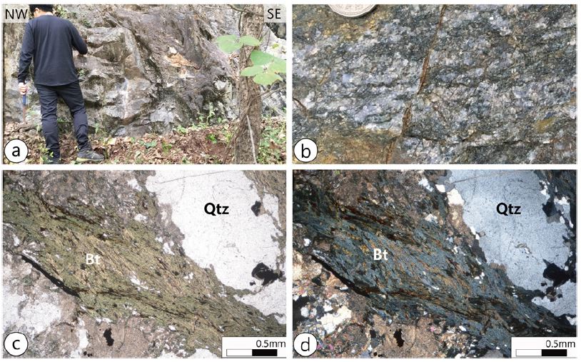 Fig. 3. Fig. 3.