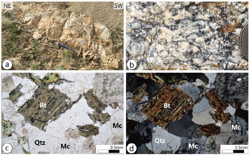 Fig. 4. Fig. 4.