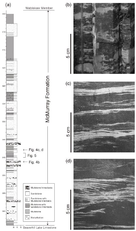 Fig. 4. Fig. 4.