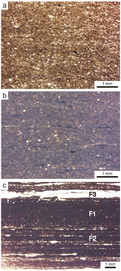 Fig. 6. Fig. 6.