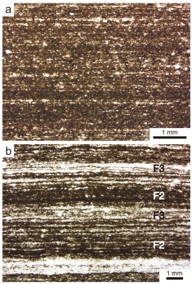 Fig. 7. Fig. 7.