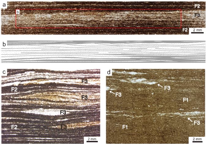 Fig. 8. Fig. 8.