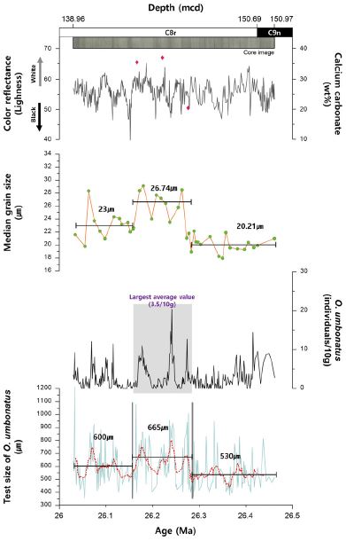 Fig. 2. Fig. 2.