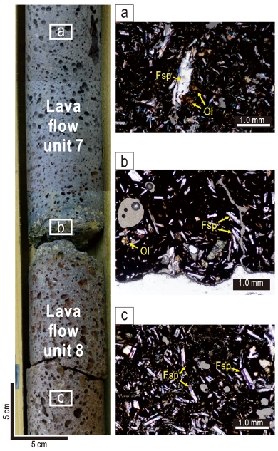 Fig. 6.