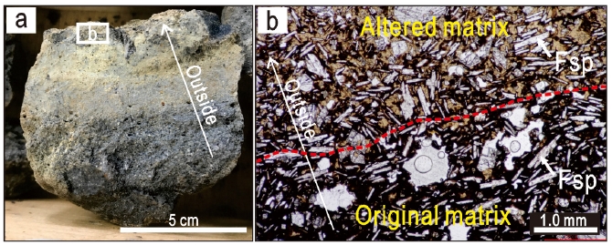 Fig. 10.