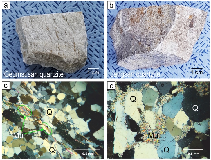 Fig. 2. Fig. 2.