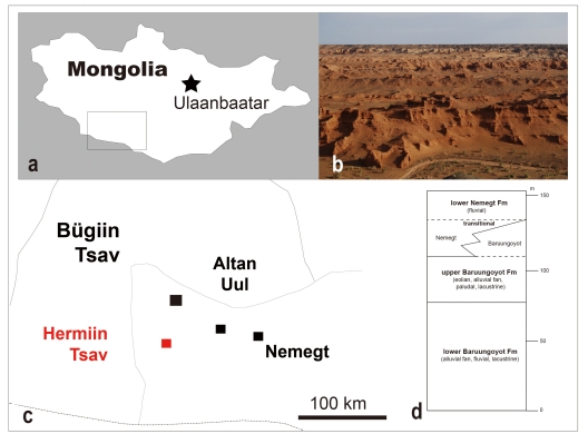 Fig. 1.