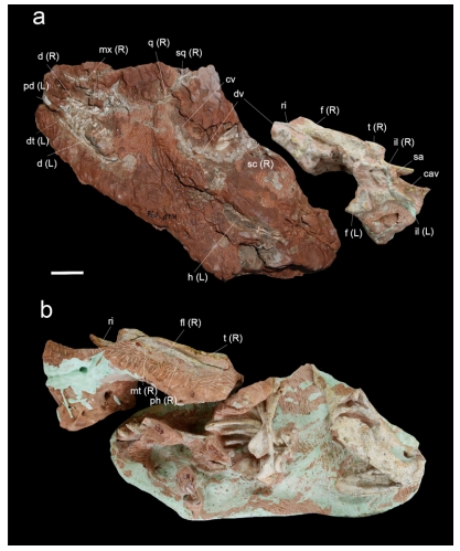 Fig. 2. Fig. 2.