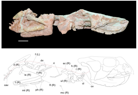 Fig. 3. Fig. 3.