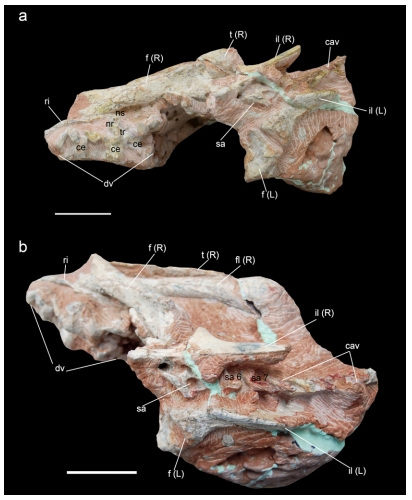 Fig. 5. Fig. 5.