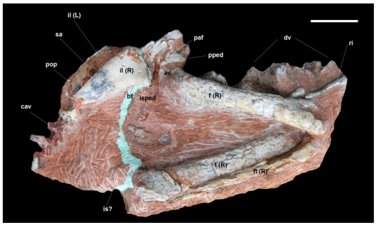 Fig. 6. Fig. 6.