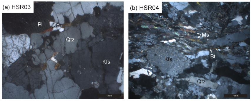 Fig. 3. Fig. 3.