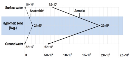 Fig. 2. Fig. 2.