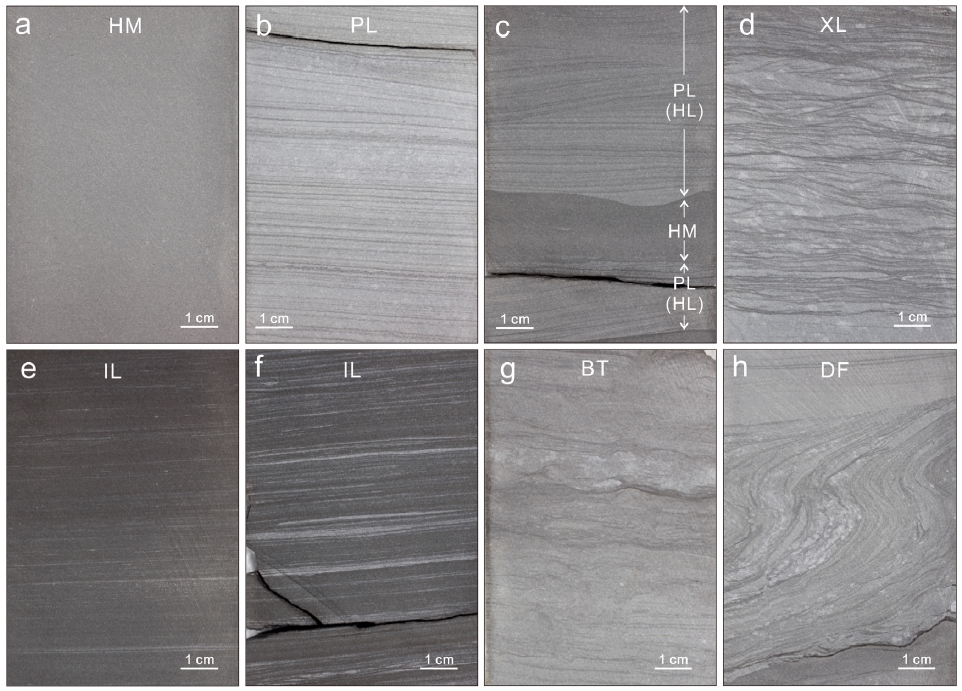 Fig. 2. Fig. 2.