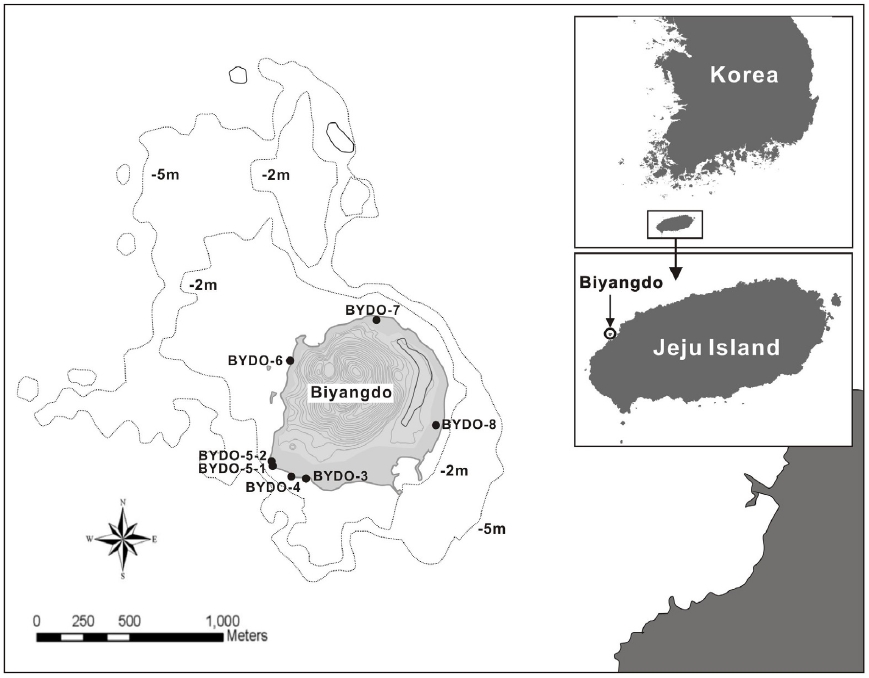 Fig. 1. Fig. 1.