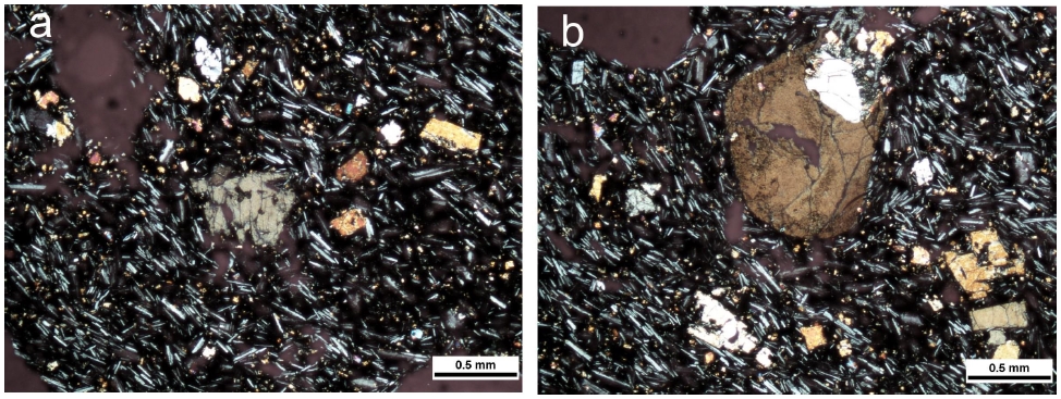 Fig. 8. Fig. 8.