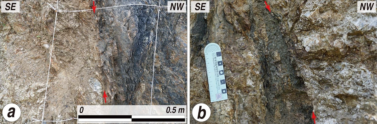 Fig. 4. Fig. 4.