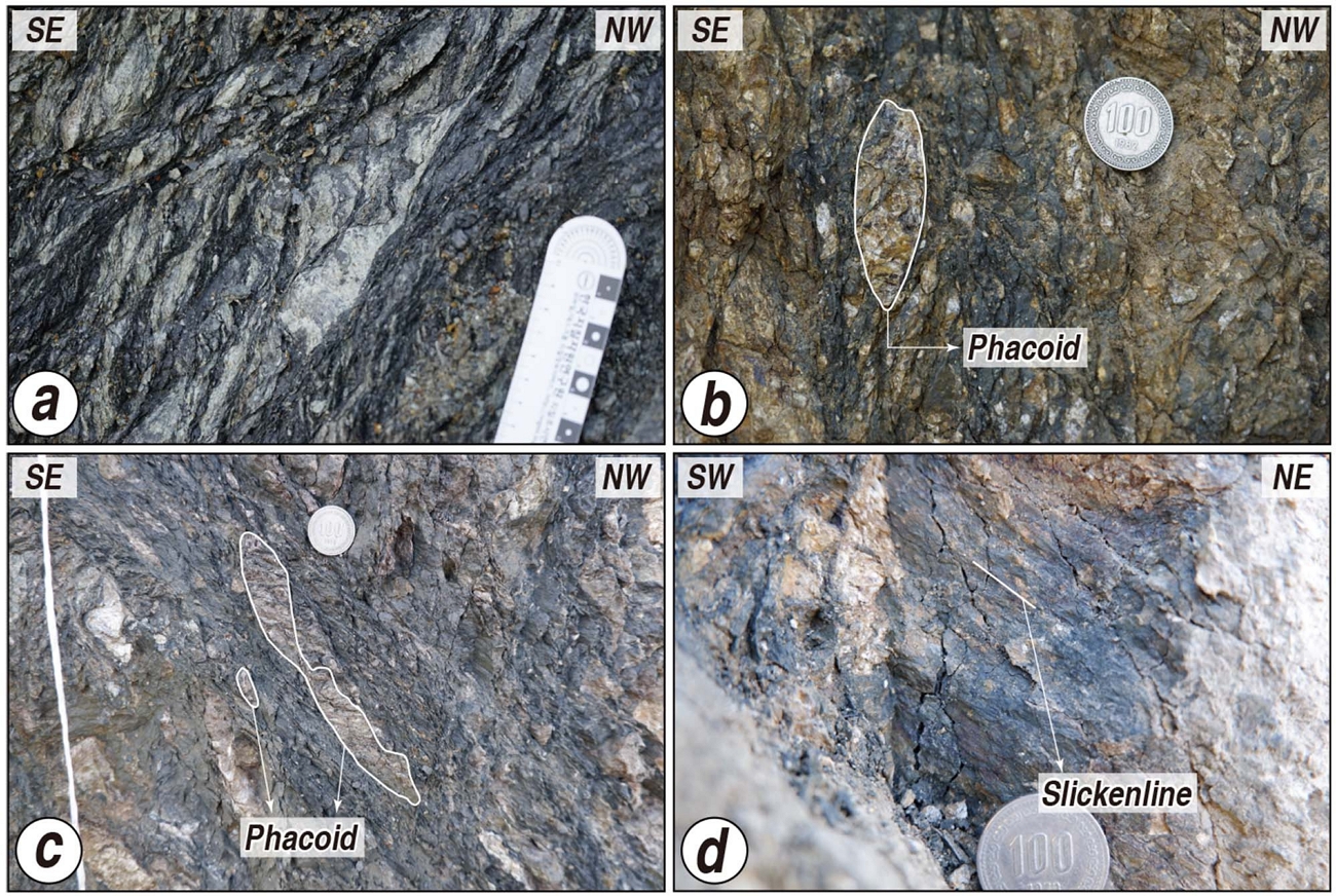 Fig. 5. Fig. 5.