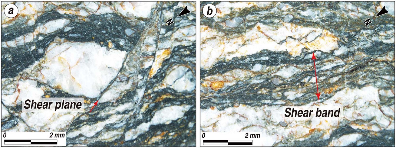 Fig. 6. Fig. 6.