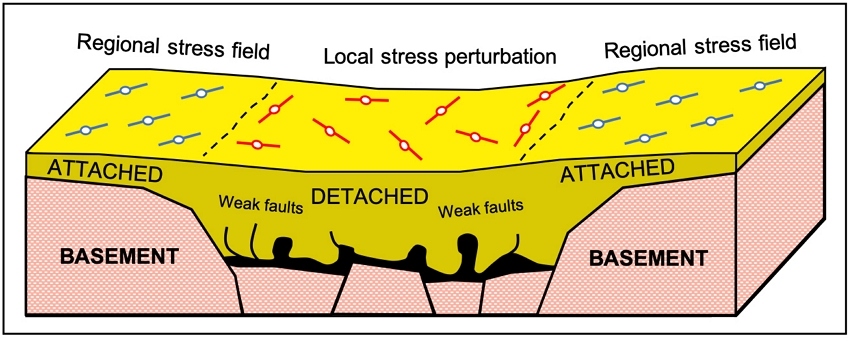 Fig. 10. Fig. 10.