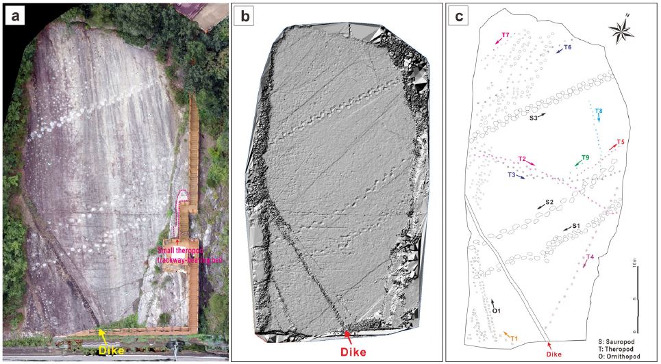 Fig. 2. Fig. 2.