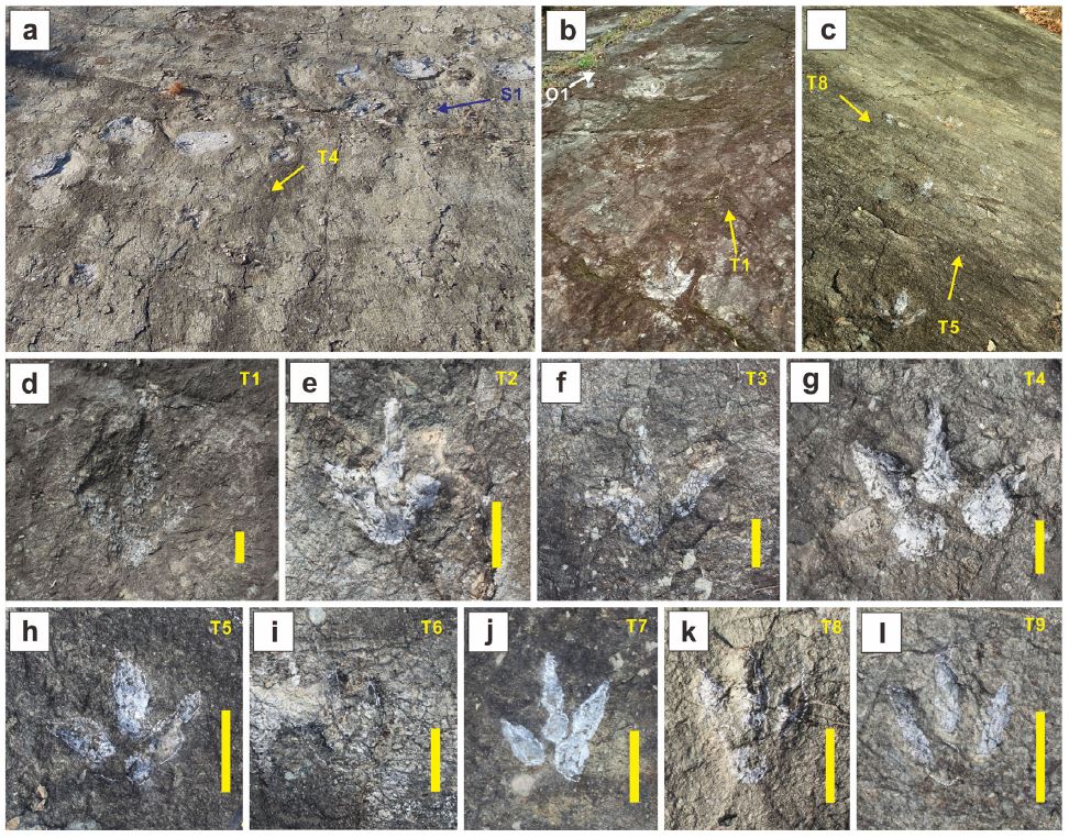 Fig. 4. Fig. 4.