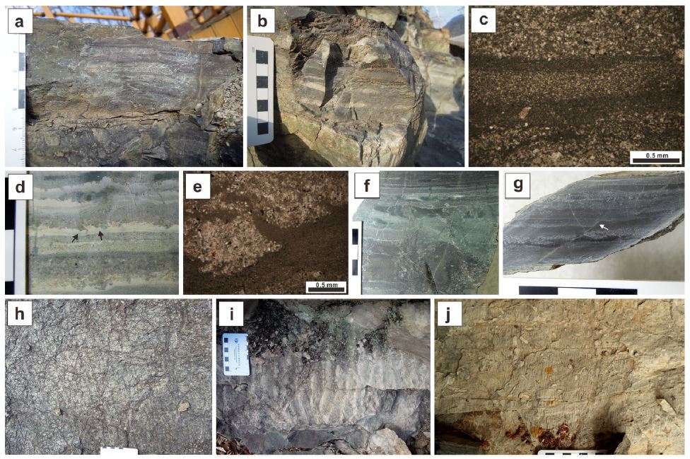 Fig. 6. Fig. 6.