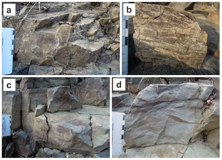 Fig. 8. Fig. 8.