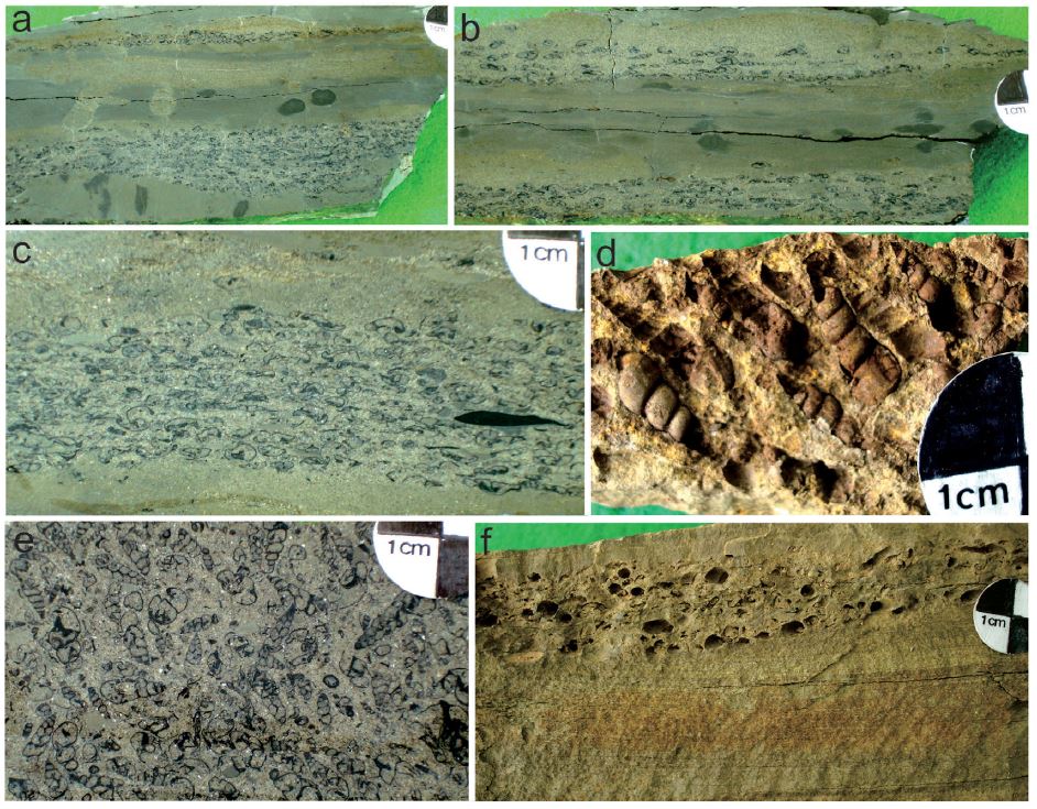 Fig. 3. Fig. 3.