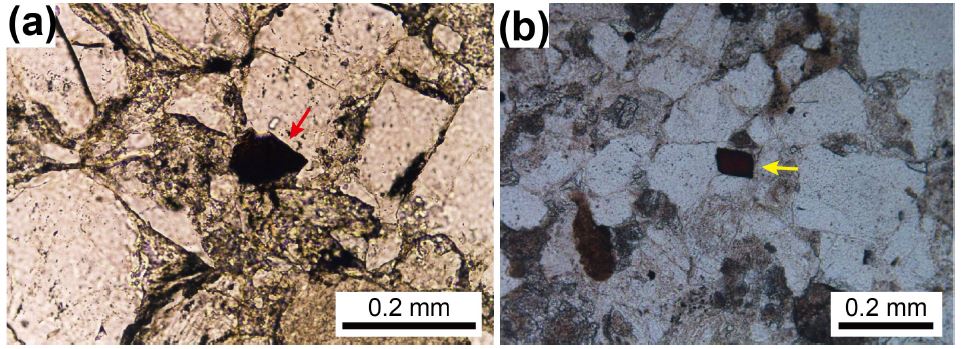 Fig. 2. Fig. 2.