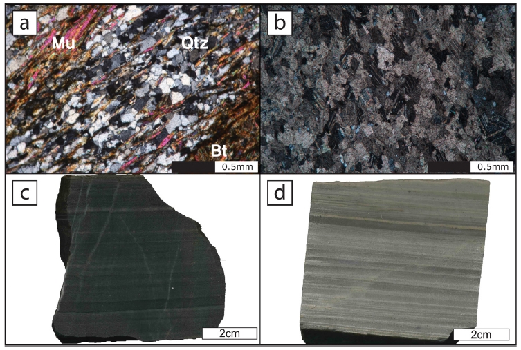 Fig. 3. Fig. 3.