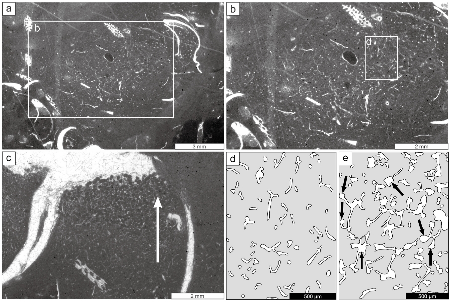 Fig. 2. Fig. 2.