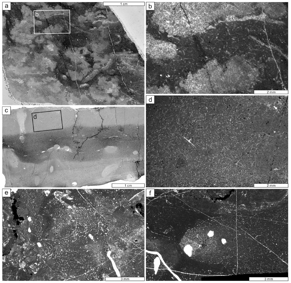 Fig. 3. Fig. 3.