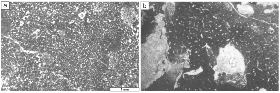 Fig. 6. Fig. 6.